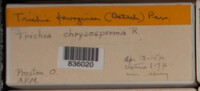 Image Associated With the Occurence